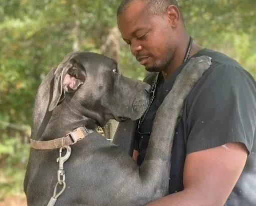 Dr. Kevin Scruggs hugging a gray Great Dane