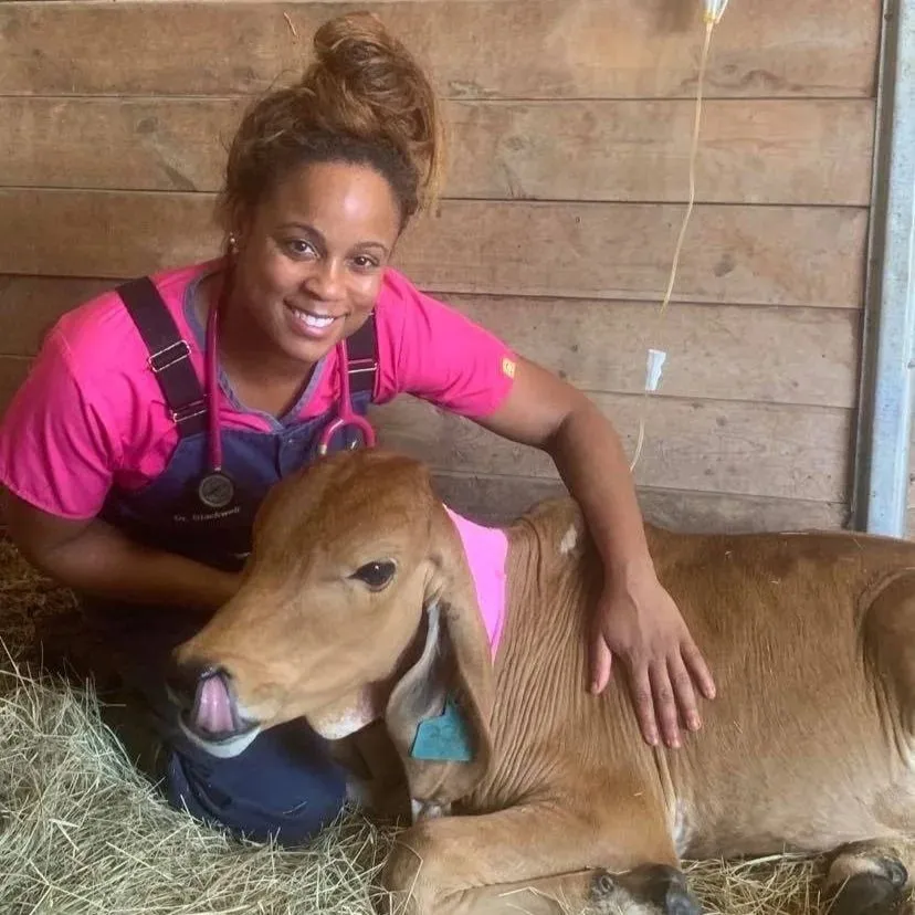 Ark veterinarian in a pink shirt hugging a young calf